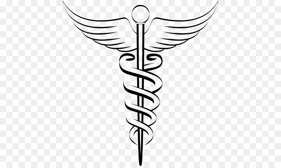 Staff of Hermes Caduceus as a symbol of medicine Physician - symbol png download - 500*535 - Free Transparent Staff Of Hermes png Download.