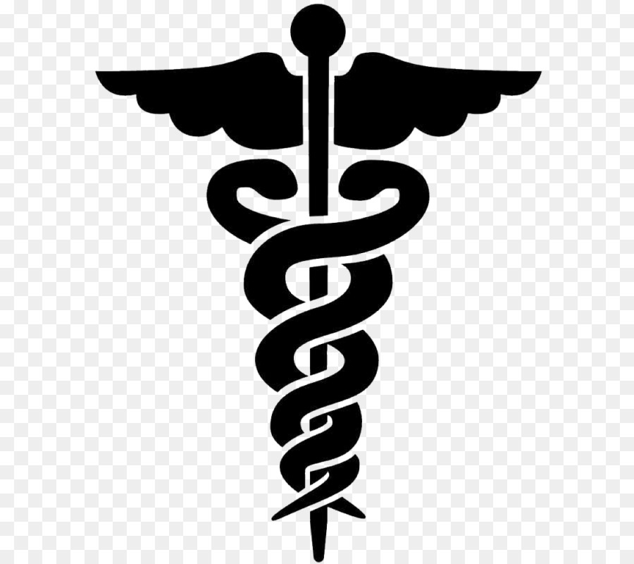 Staff of Hermes Caduceus as a symbol of medicine Physician - symbol png download - 658*800 - Free Transparent Hermes png Download.