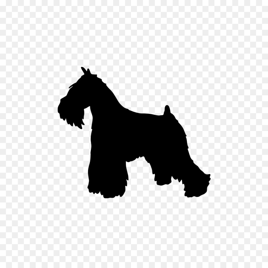 Miniature Schnauzer Scottish Terrier English Mastiff Clip art - Silhouette png download - 1260*1260 - Free Transparent Miniature Schnauzer png Download.