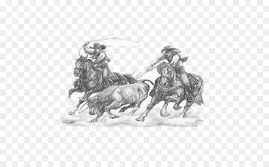 Cattle Calf roping Drawing Team roping Rodeo - RODEO png download - 545*545 - Free Transparent Cattle png Download.