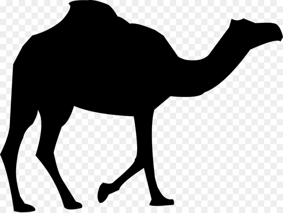 Dromedary Bactrian camel Royalty-free Clip art - Silhouette png download - 956*720 - Free Transparent Dromedary png Download.