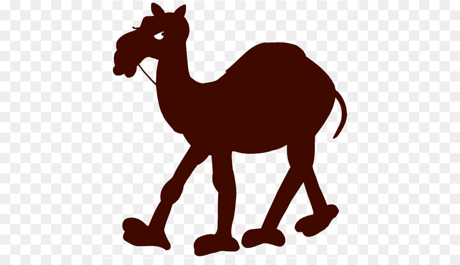 Dromedary Campbell Fighting Camels football Silhouette Clip art - Camel Football Cliparts png download - 508*508 - Free Transparent Dromedary png Download.