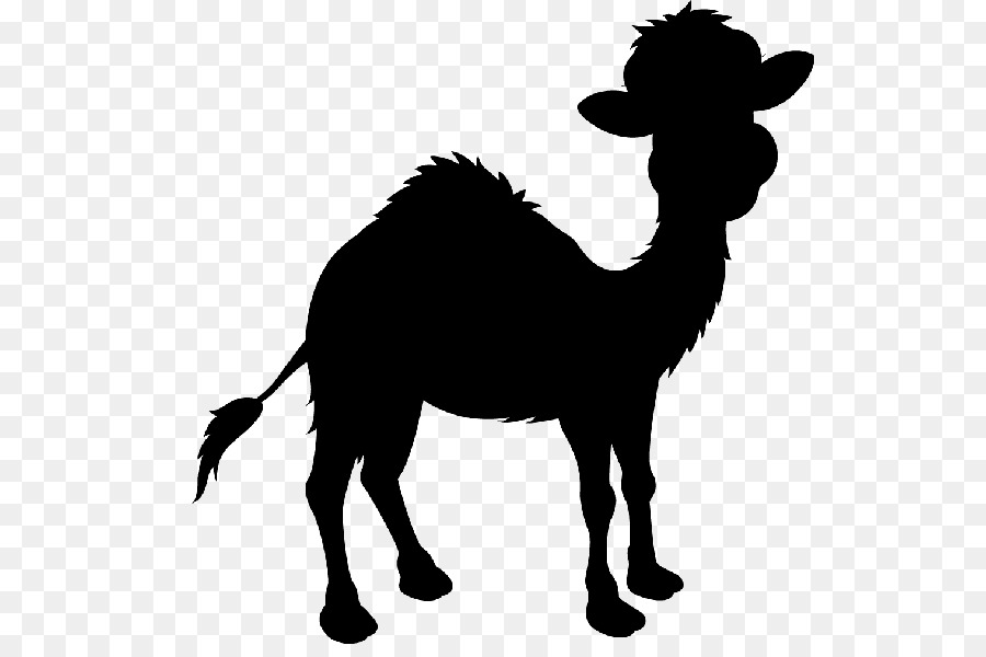 Camel Mustang Clip art Silhouette Black -  png download - 600*600 - Free Transparent Camel png Download.