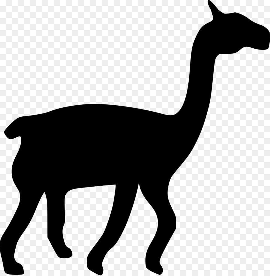 Llama Camel Silhouette Clip art - camel png download - 2352*2400 - Free Transparent Llama png Download.