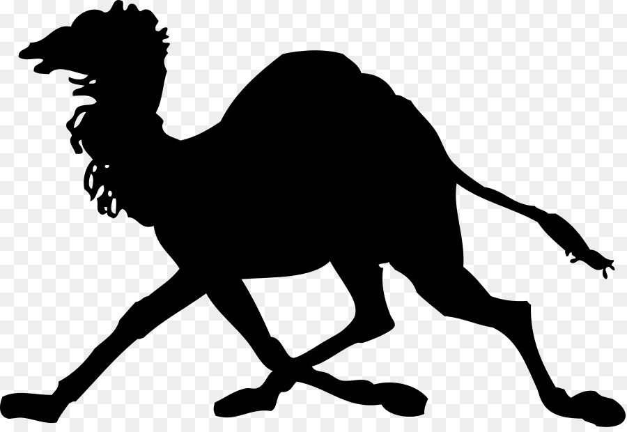 Dromedary Silhouette Clip art - Camel Images png download - 900*613 - Free Transparent Dromedary png Download.
