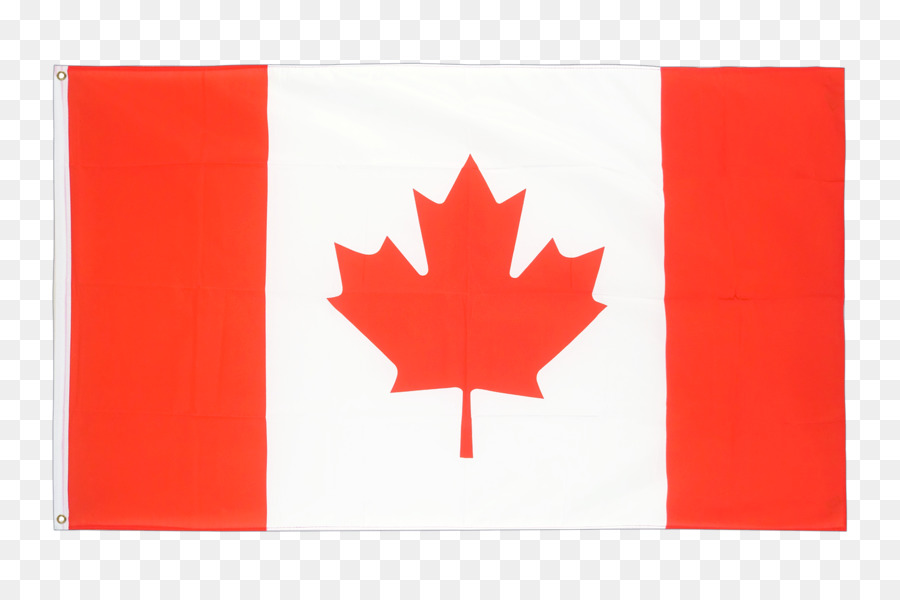 Flag of Canada Maple leaf National flag - canada flag png download - 1500*1000 - Free Transparent Flag Of Canada png Download.