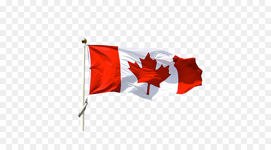 Ontario Department of Justice Flag of Canada Canada Day - Canadian flag png download - 500*500 - Free Transparent Ontario png Download.