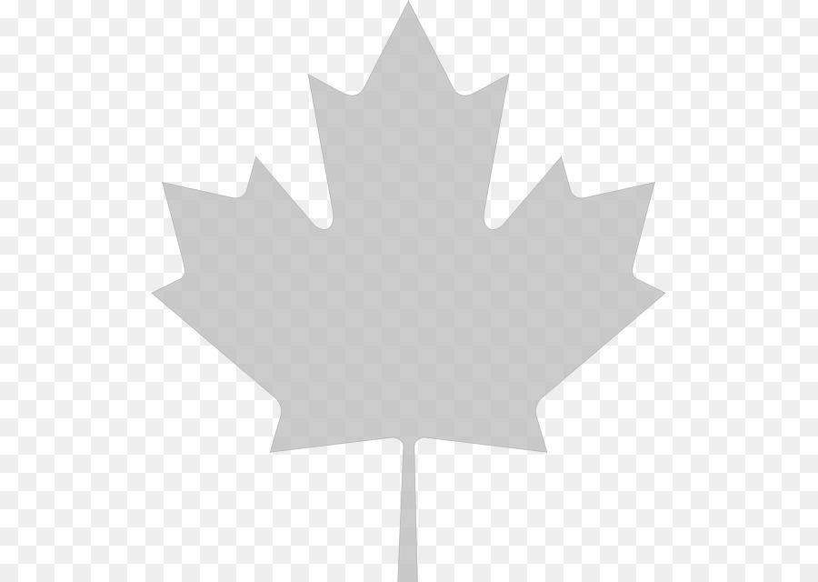 Flag of Canada Maple leaf Clip art - maple leaf background png download - 567*640 - Free Transparent Canada png Download.