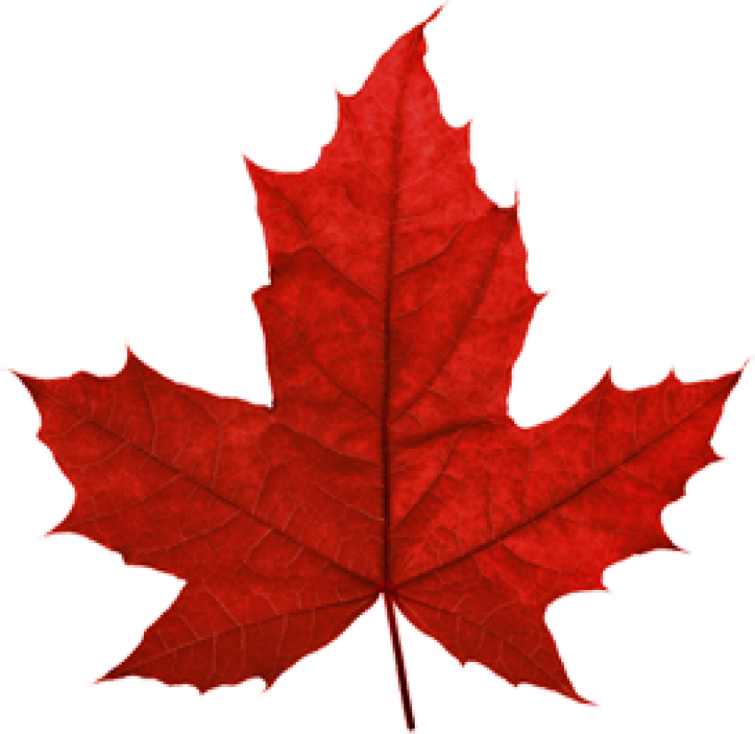 Canadian Leaf Png Png Image Collection