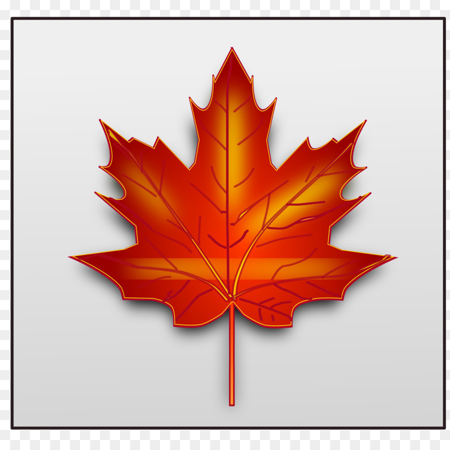 Canada Maple leaf Clip art - maple leaf png download - 2400*2400 - Free Transparent Canada png Download.