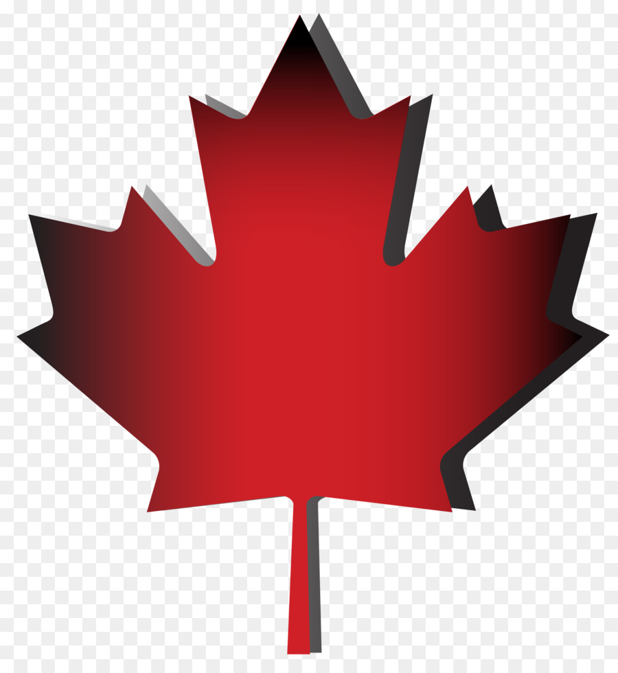 Flag of Canada Maple leaf Zazzle - red maple leaf png download - 3264*3520 - Free Transparent Canada png Download.