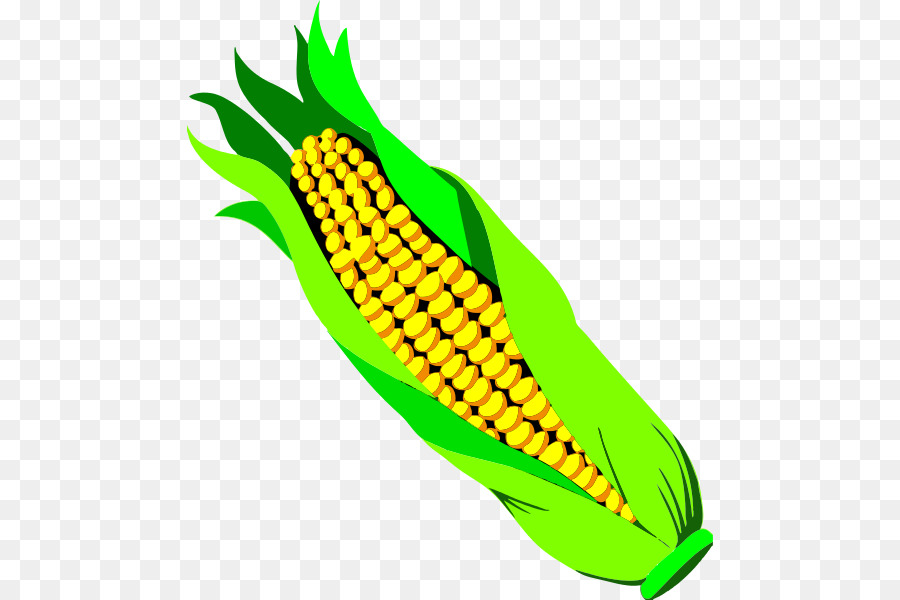 Candy corn Vegetable Maize Clip art - ear png download - 526*600 - Free Transparent Candy Corn png Download.