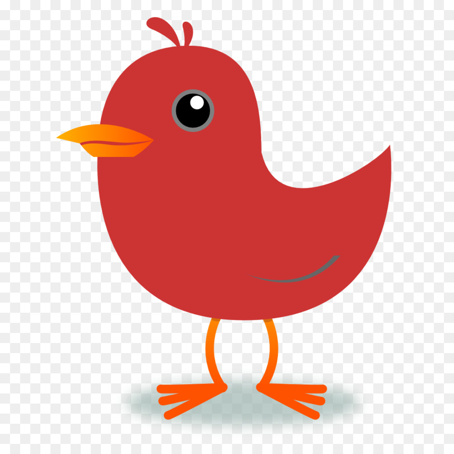 Bird Northern cardinal Clip art - Transparent Bird Cliparts png download - 1111*1101 - Free Transparent Bird png Download.
