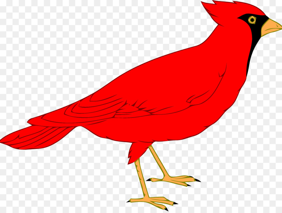 Northern cardinal St. Louis Cardinals Clip art - others png download - 1024*768 - Free Transparent Northern Cardinal png Download.
