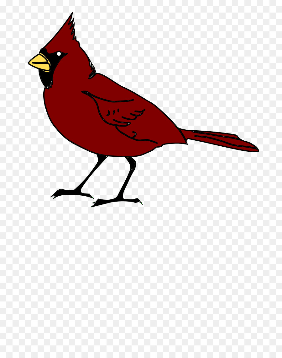 St. Louis Cardinals Clip art - Bird png download - 800*1131 - Free Transparent St Louis Cardinals png Download.