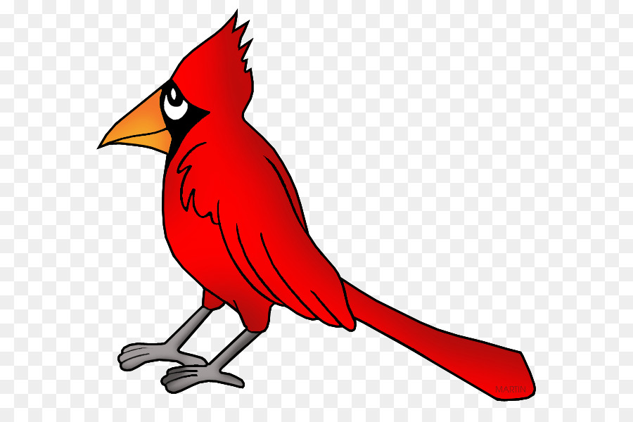 Northern cardinal Bird Clip art - Bird png download - 648*599 - Free Transparent Northern Cardinal png Download.