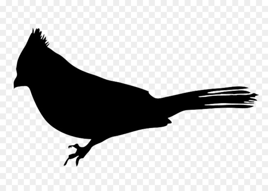 Bird European robin Silhouette Clip art - robin png download - 1350*944 - Free Transparent Bird png Download.
