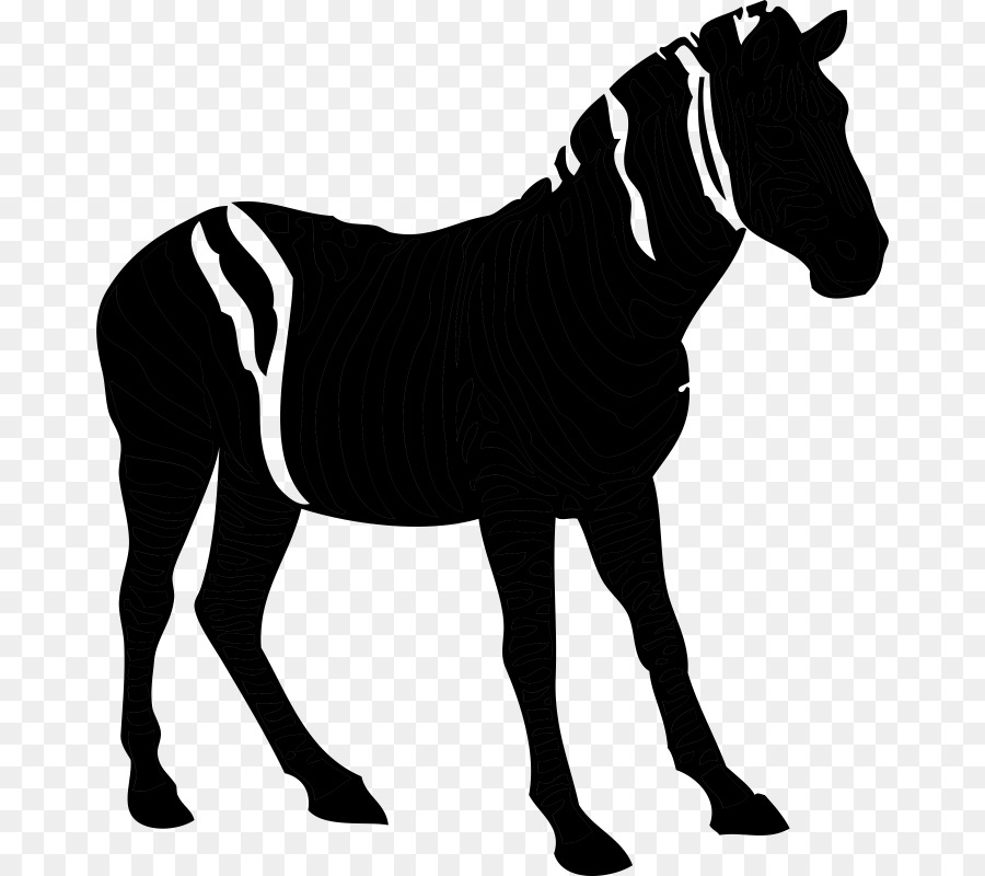 American Quarter Horse Silhouette Clip art Image Pony -  png download - 724*800 - Free Transparent American Quarter Horse png Download.