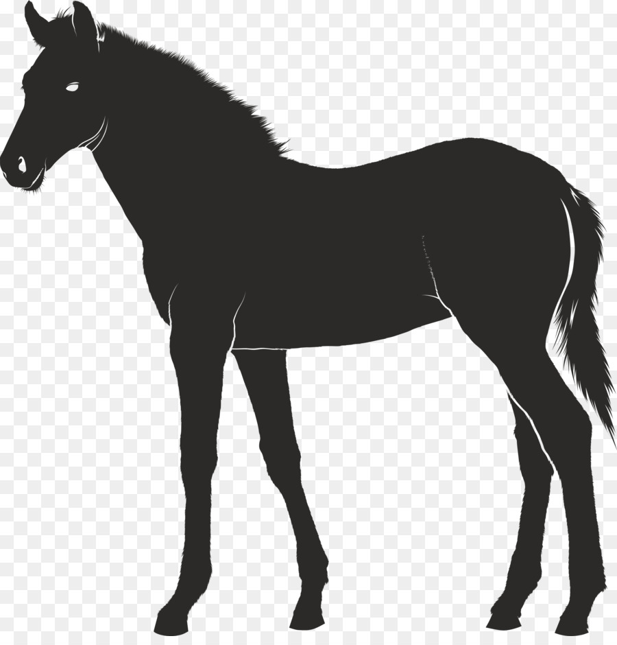 Foal Konik Pony - carousel horse vector png download - 4000*4122 - Free Transparent Foal png Download.