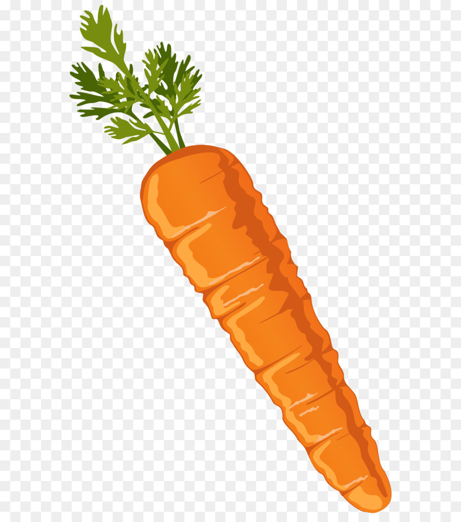 Carrot Vegetable Clip art - Carrot Clipart PNG Image png download - 3674*5720 - Free Transparent Carrot png Download.