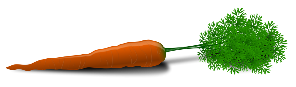carrot clip art
