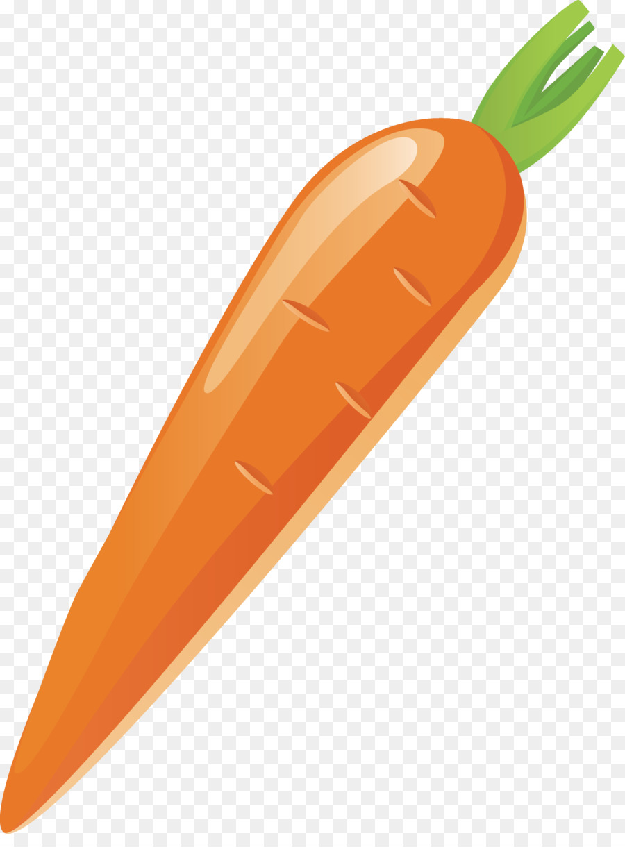 Carrot Vegetable - Carrot vector png download - 1966*2624 - Free Transparent Carrot png Download.