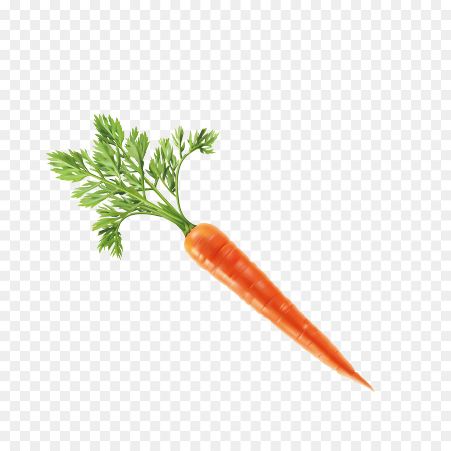 Vegetable Carrot Computer file - Carrot vector png download - 2362*2362 - Free Transparent Vegetable png Download.