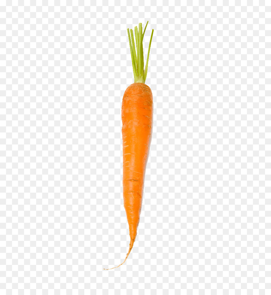 Baby carrot Orange - carrot png download - 650*975 - Free Transparent Baby Carrot png Download.