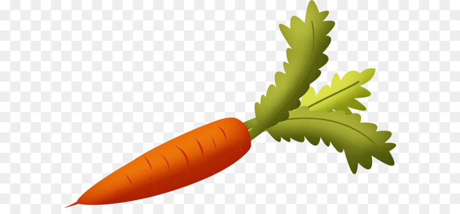 Carrot Vegetable - Carrot PNG image png download - 2542*1595 - Free Transparent Carrot png Download.