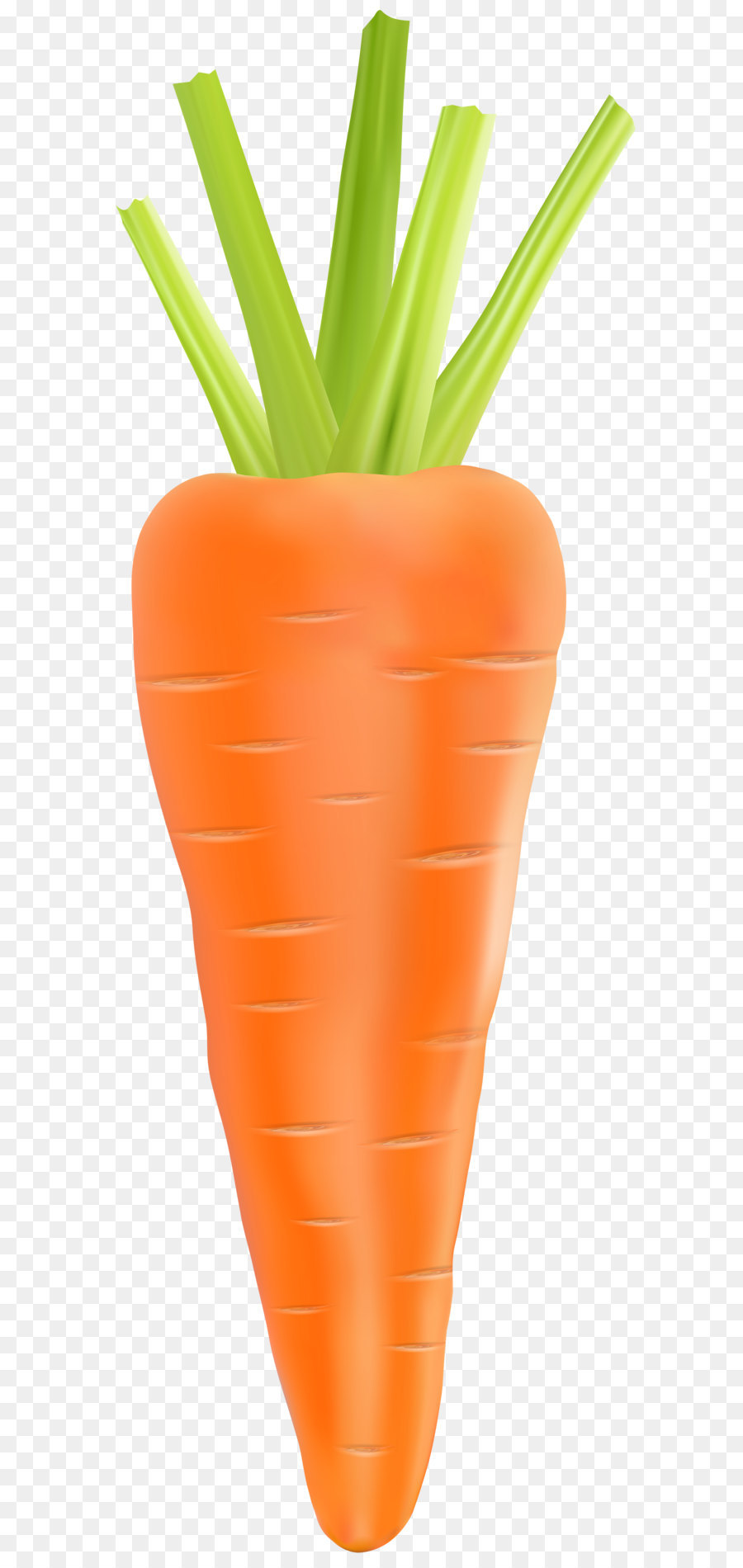 Carrot Vegetable - Carrot Transparent PNG Clip Art Image png download - 2753*8000 - Free Transparent Carrot png Download.