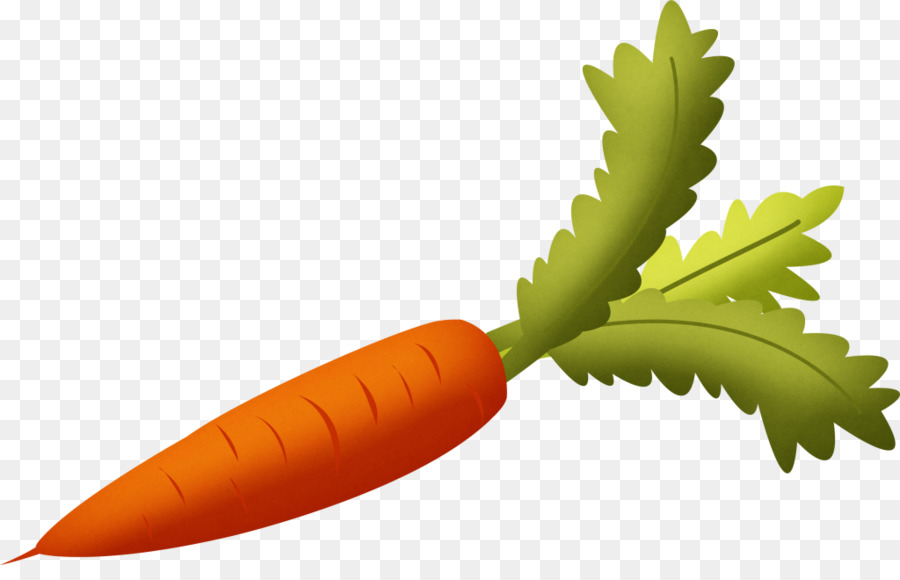Carrot Food Vegetable Clip art - carrot png download - 1024*643 - Free Transparent Carrot png Download.
