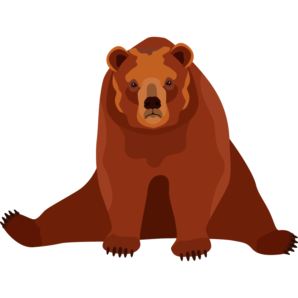 Bear Cartoon - Cartoon bear png download - 1000*1000 - Free Transparent png  Download. - Clip Art Library