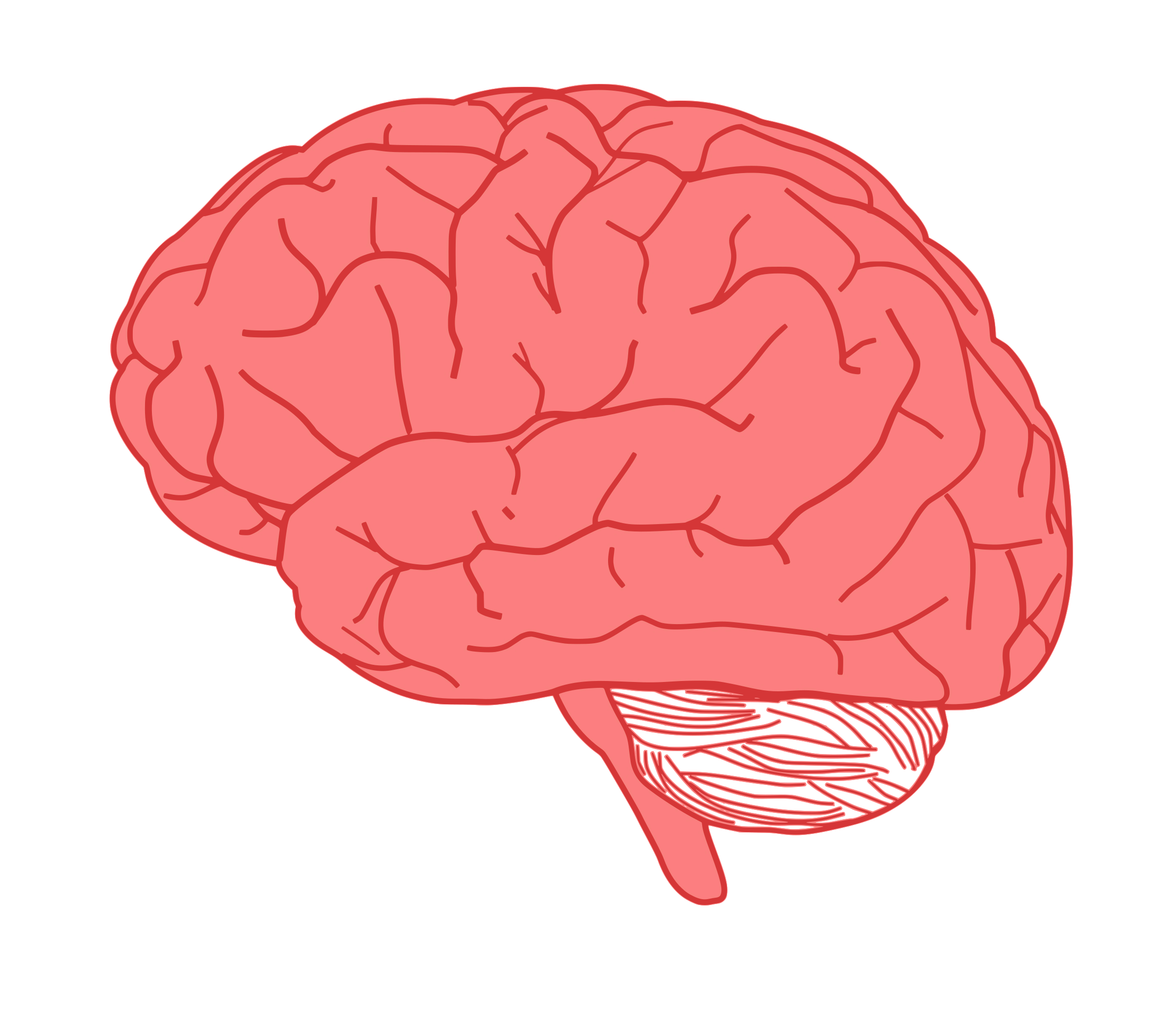 Human brain Clip art Brain png download 2400*2109 Free