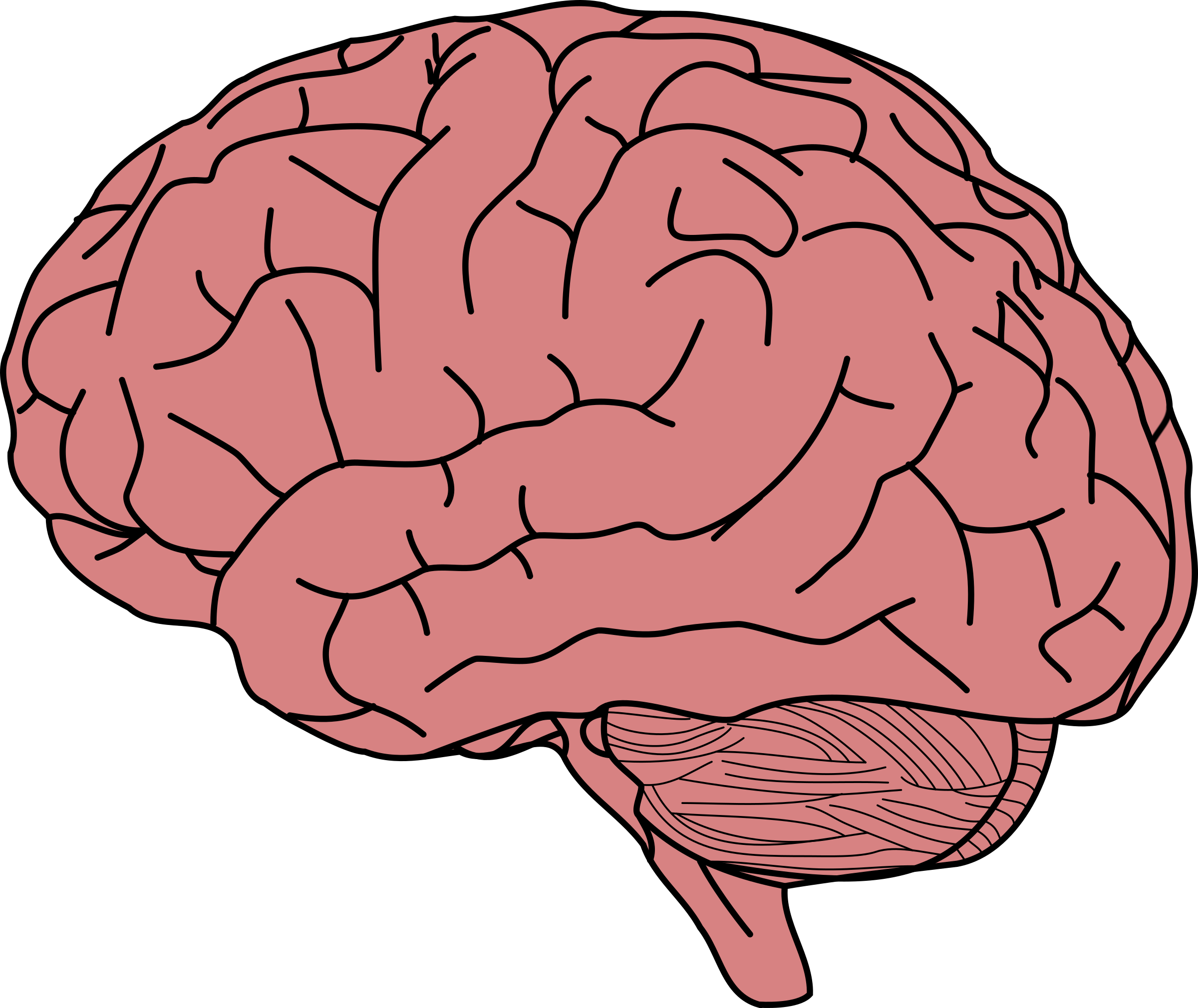 Cartoon Brain Clipart Transparent Background Lateralization Of Brain