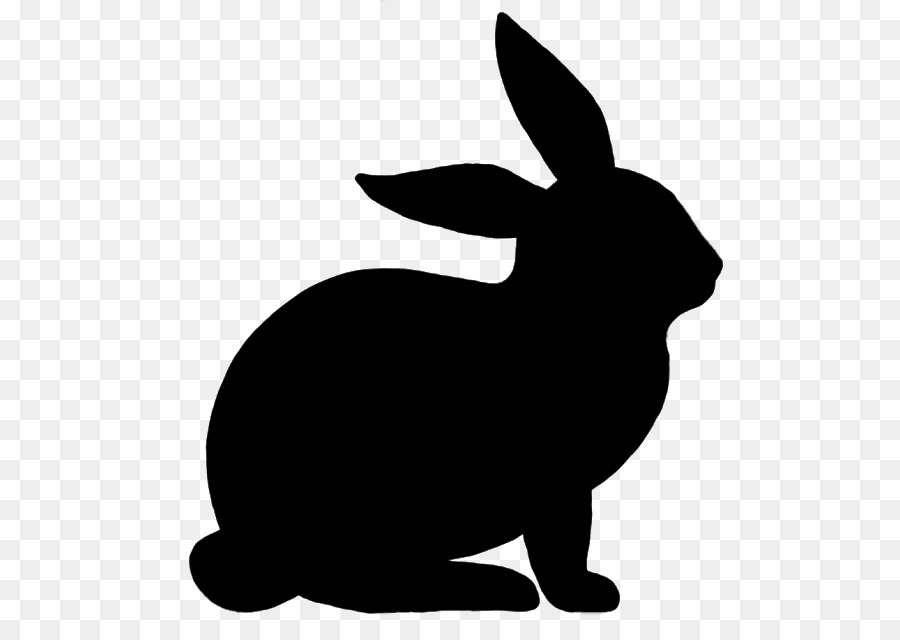 Hare Easter Bunny Rabbit Silhouette Drawing - rabbit png download - 606*640 - Free Transparent Hare png Download.
