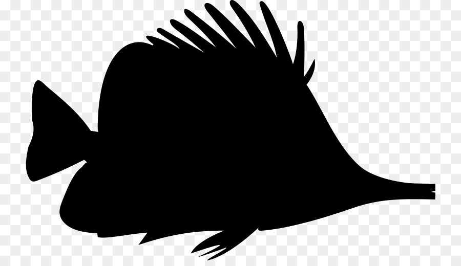 Clip art Silhouette Portable Network Graphics Fish Image -  png download - 800*509 - Free Transparent Silhouette png Download.