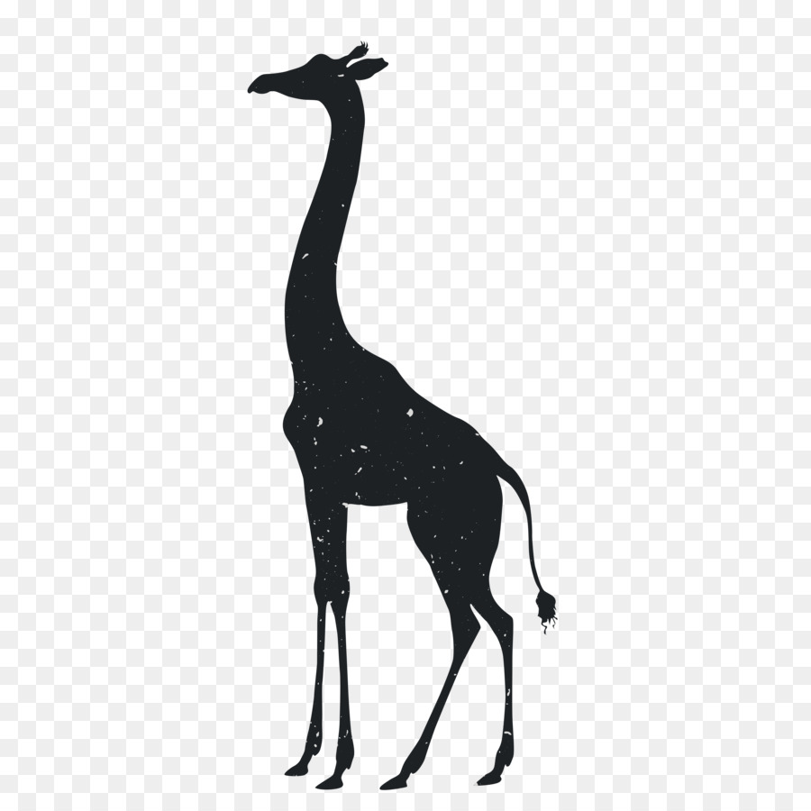 Giraffe Tiger Silhouette Animal Drawing - Animal Silhouettes png download - 3600*3600 - Free Transparent Giraffe png Download.