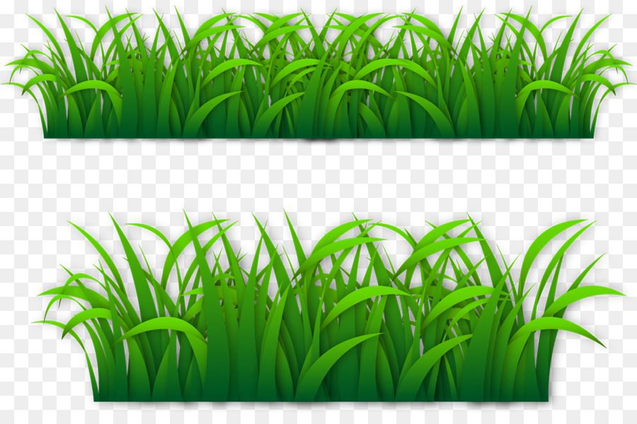 Portable Network Graphics Lawn Clip art Vector graphics Euclidean vector - grass silhouette png svg vector png download - 1301*846 - Free Transparent Lawn png Download.