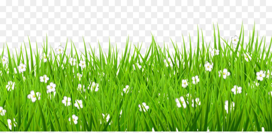 Lawn Clip art - Flower Cliparts Transparent png download - 5000*2418 - Free Transparent Lawn png Download.