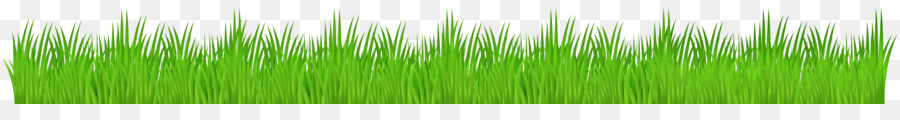 Campbell River Lviv Cermaq Youth system Grasses - cartoon grass png download - 8000*926 - Free Transparent Campbell River png Download.