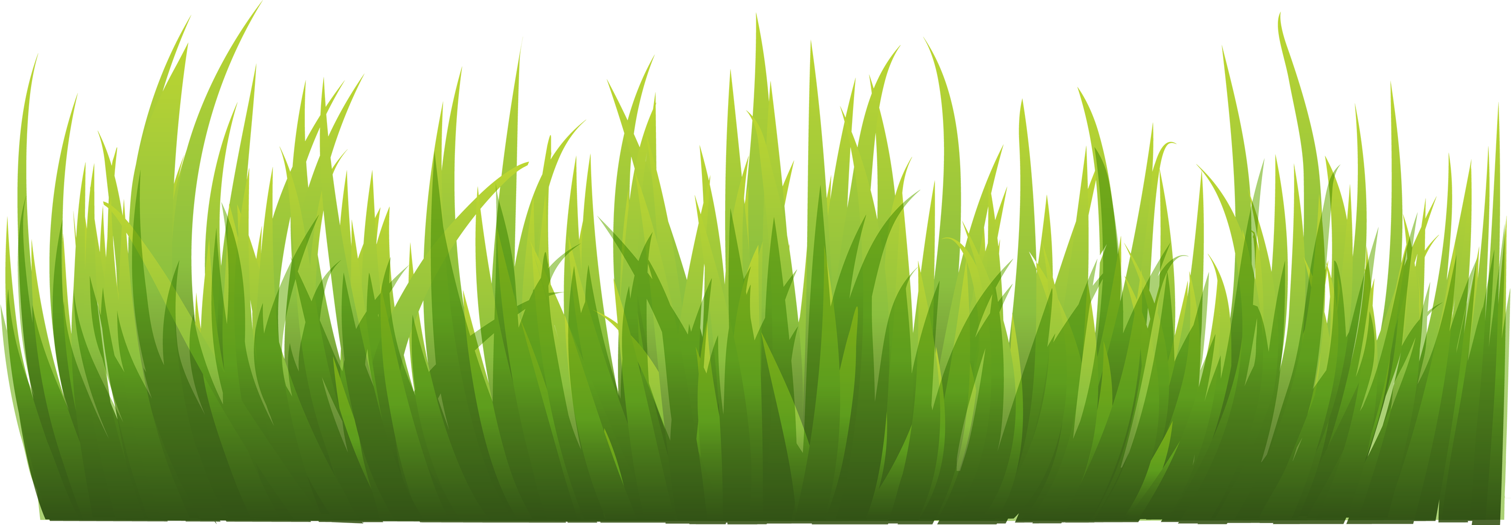 Animation Icon - grass png image, green grass PNG picture png download -  3059*1064 - Free Transparent Lawn png Download. - Clip Art Library