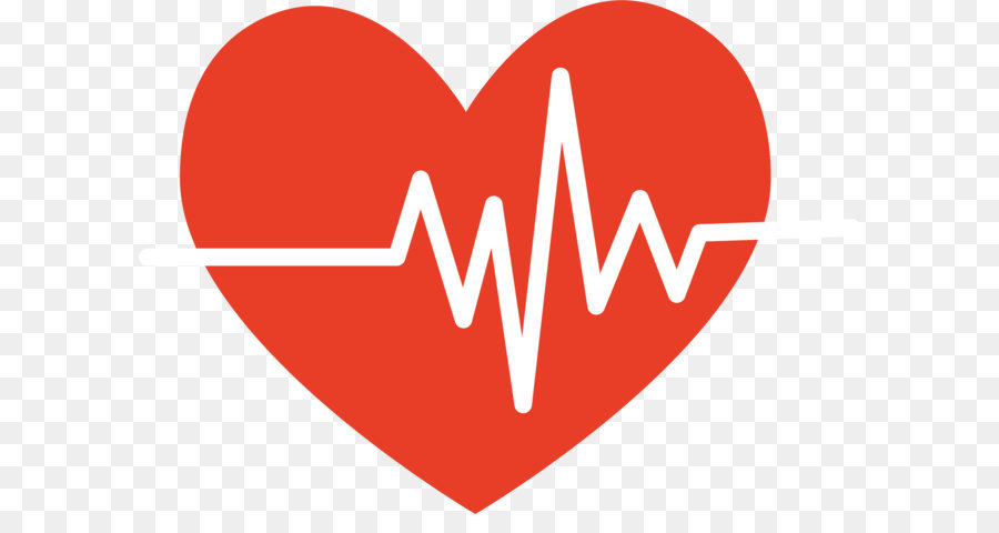 Heart Electrocardiography Pulse - Heartbeat cartoon png download - 2558*1823 - Free Transparent  ai,png Download.