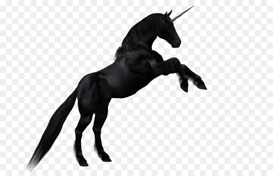 Horse Unicorn Cartoon Drawing - Horse cartoon picture material,Dark Horse png download - 1904*1200 - Free Transparent Horse png Download.