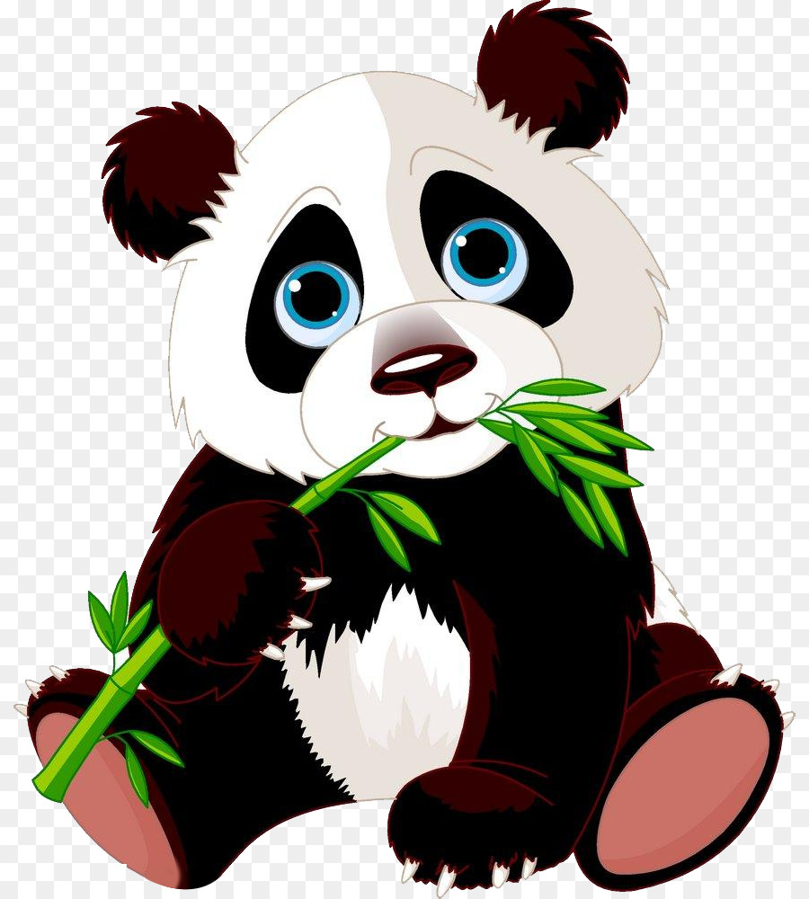 Giant panda Bear Red panda Cartoon - Eat bamboo panda png download - 870*1000 - Free Transparent  png Download.