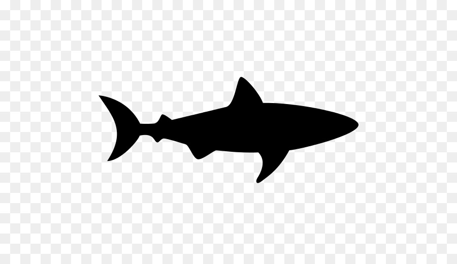 Shark Vector graphics Clip art Silhouette Illustration - cartoon shark png icons png download - 512*512 - Free Transparent Shark png Download.
