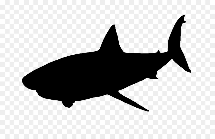 Great white shark Clip art - great wall silhouette png download - 1000*629 - Free Transparent Shark png Download.