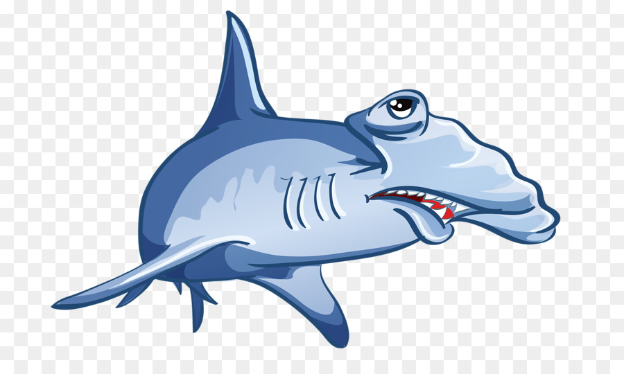 Shark Jaws Drawing - Cartoon shark png download - 800*529 - Free Transparent Shark Jaws png Download.