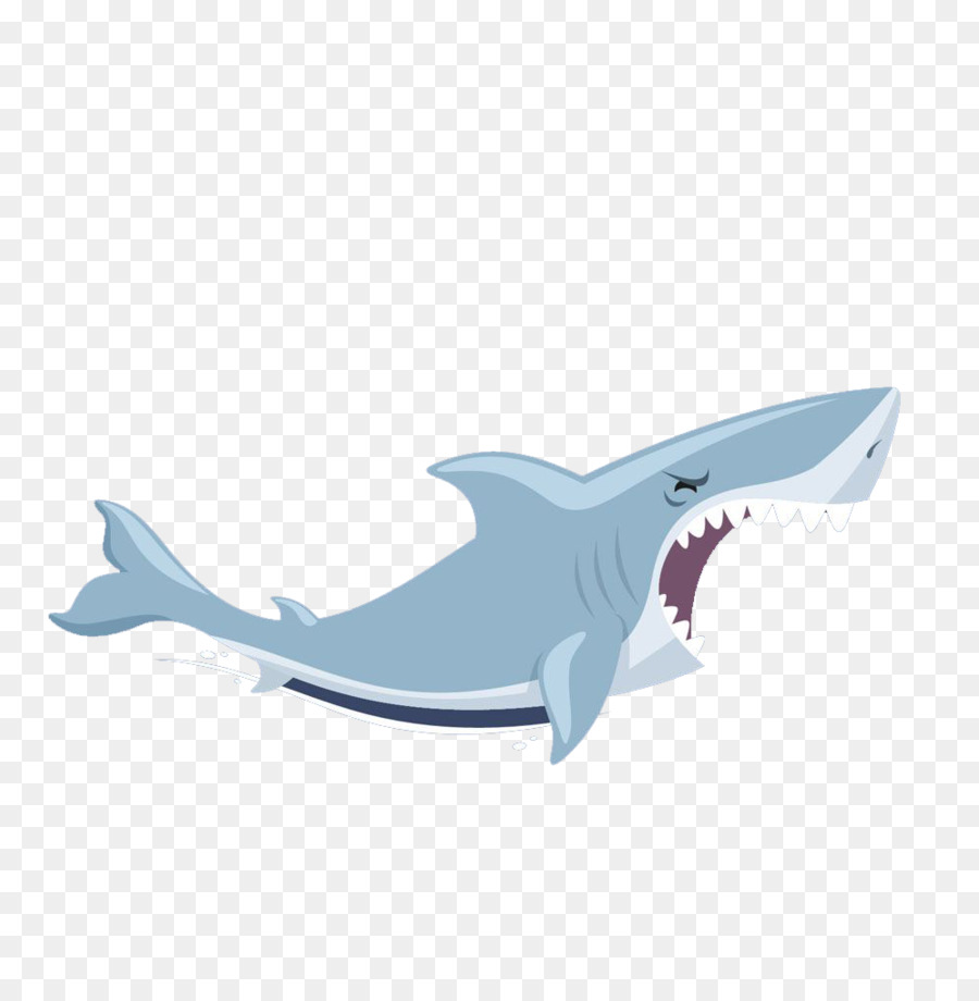 Shark Illustration - shark png download - 996*1000 - Free Transparent Shark png Download.
