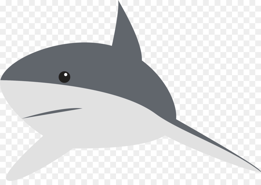 Shark Animation Clip art - sharks png download - 2294*1596 - Free Transparent Shark png Download.