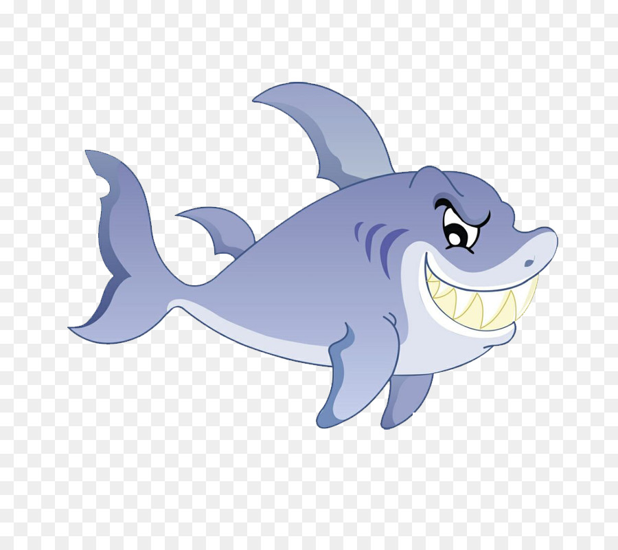 Shark - Cartoon shark png download - 800*800 - Free Transparent Shark png Download.